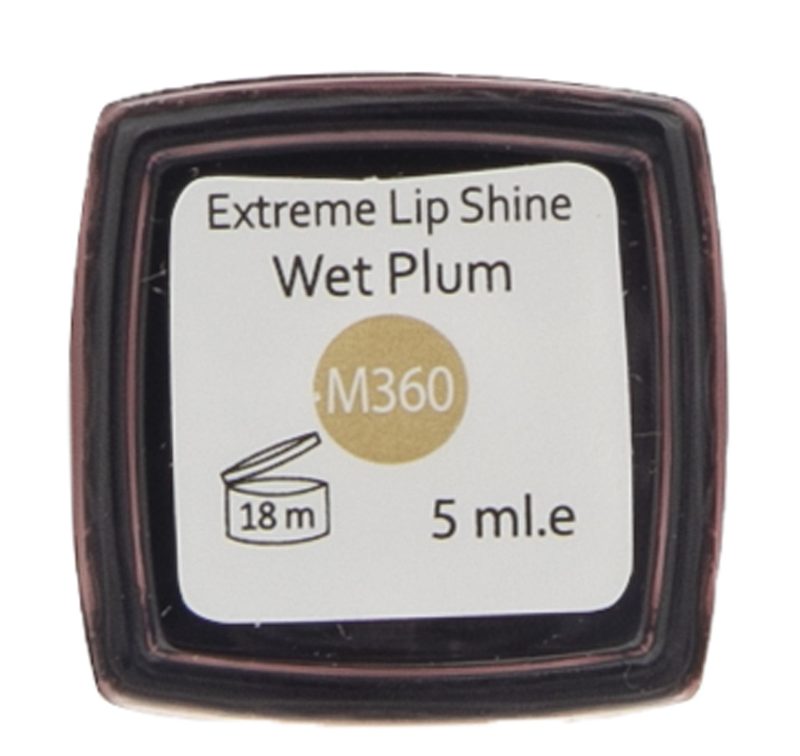 رژ لب مایع این لی مدل Wet Plum شماره M360 | گارانتی اصالت و سلامت فیزیکی کالا