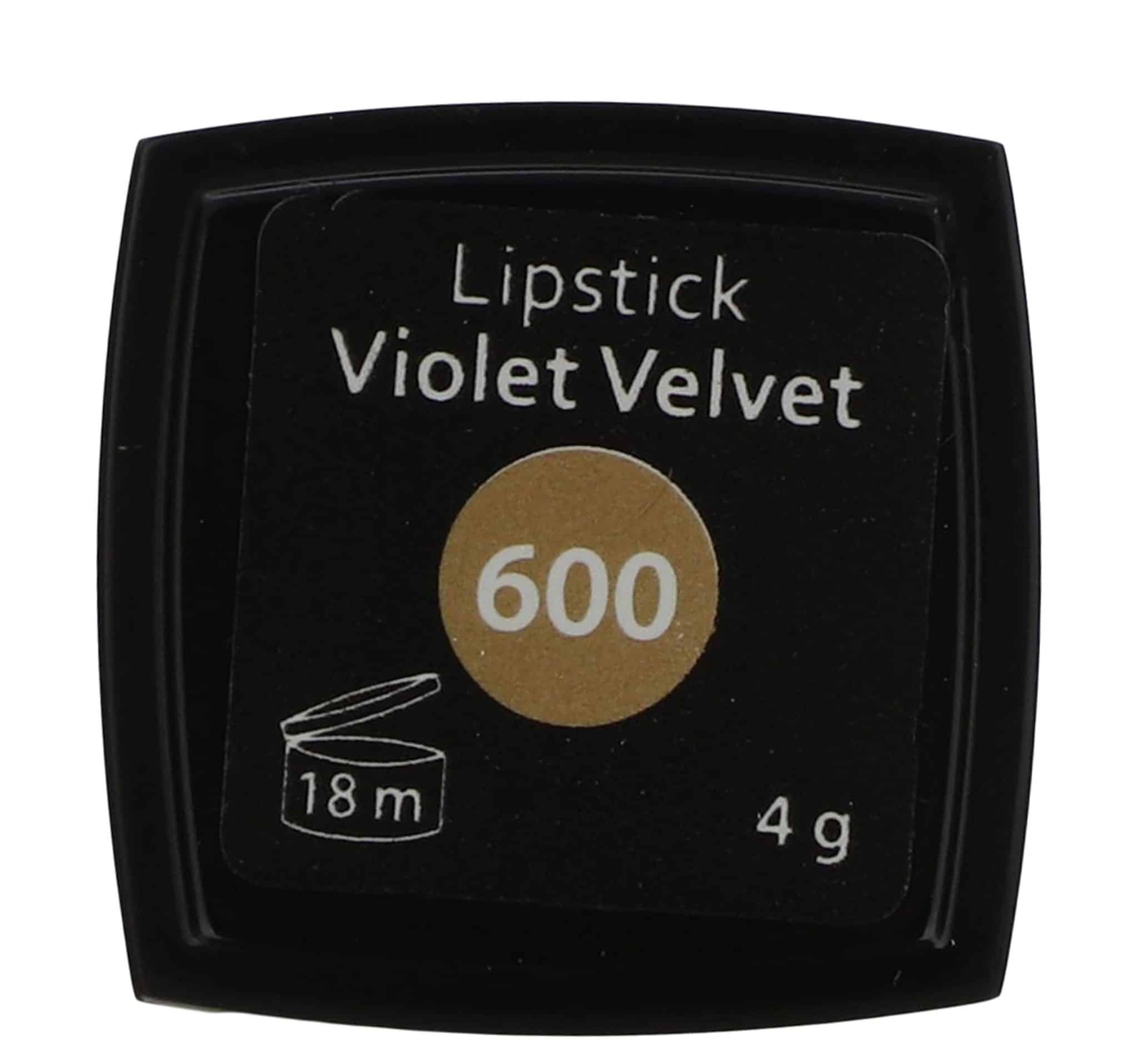 رژ لب جامد این لی مدل Viollet Velvet شماره 600 | گارانتی اصالت و سلامت فیزیکی کالا